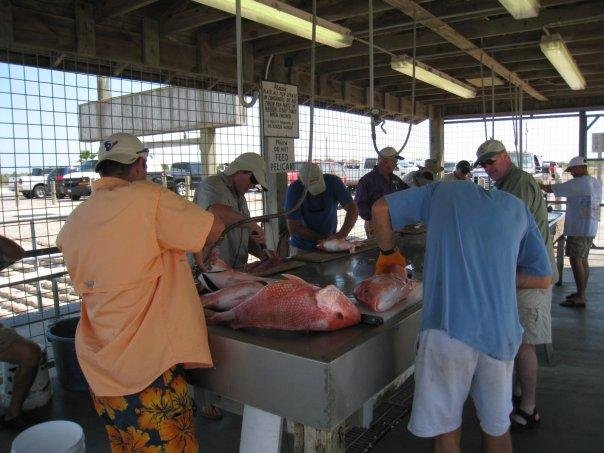 David George's album, Fishing Trip 8-14 (more pics)