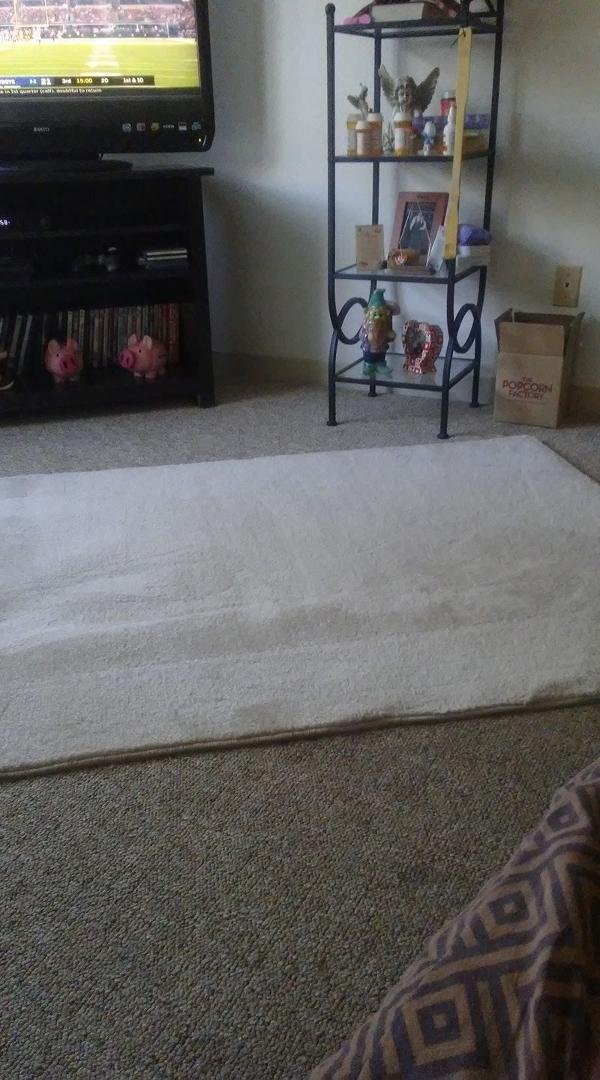 Watchin game an cleaning what you think of the carpet I got?