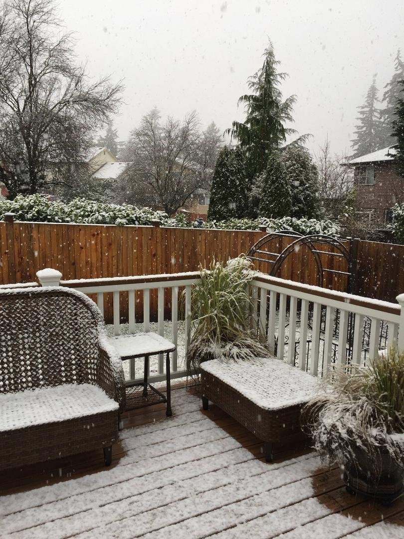 Snow in Seattle for Christmas..🎄