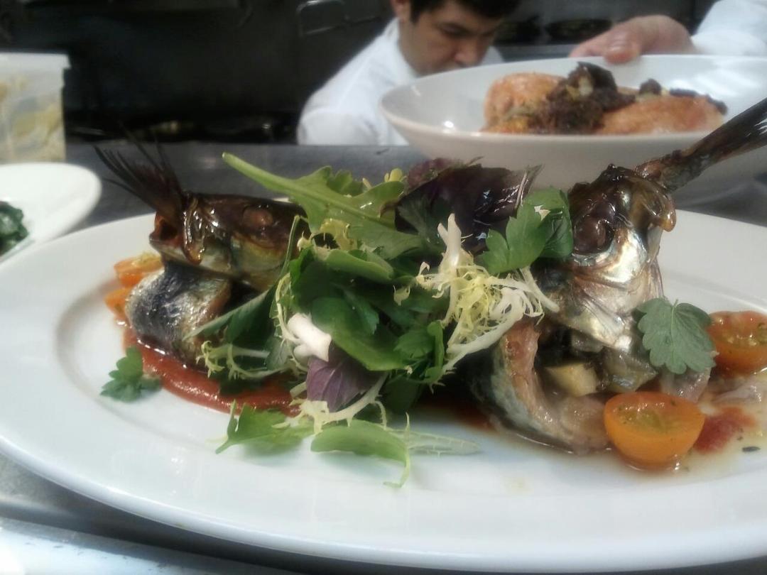 Sardine special tonight