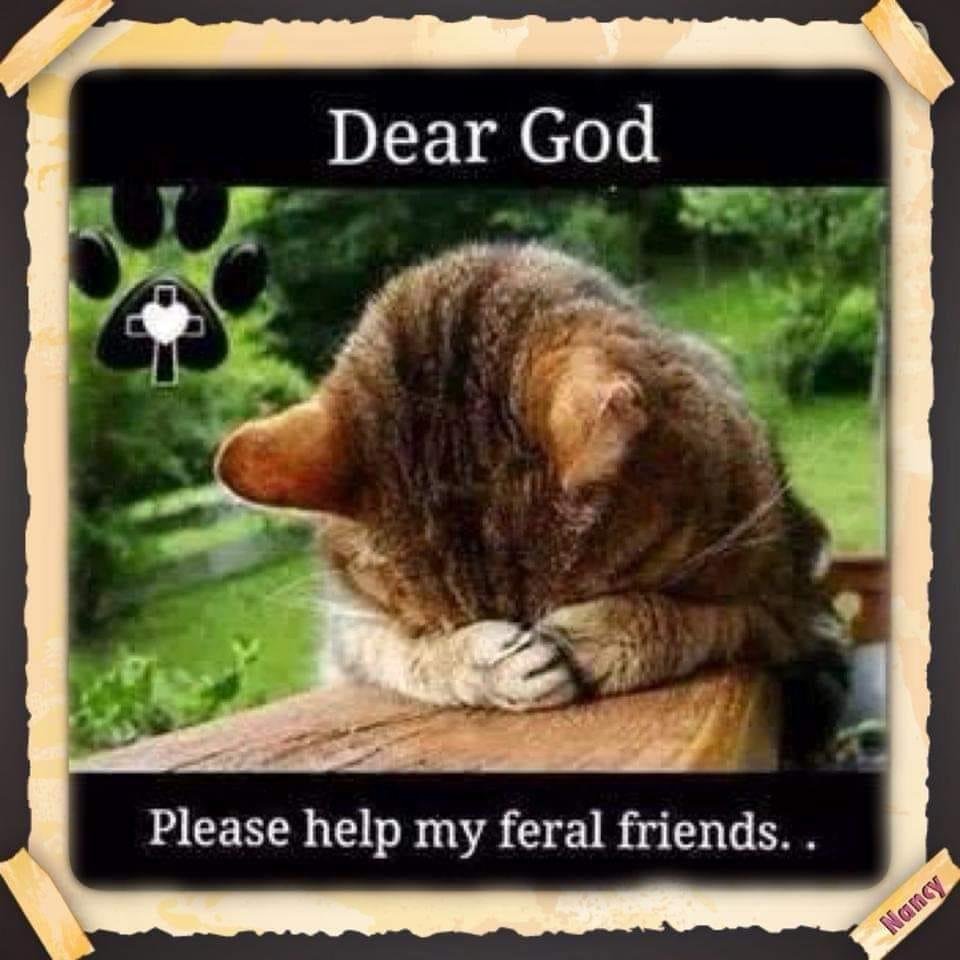 Kenneth Mackay's album, Timeline photos