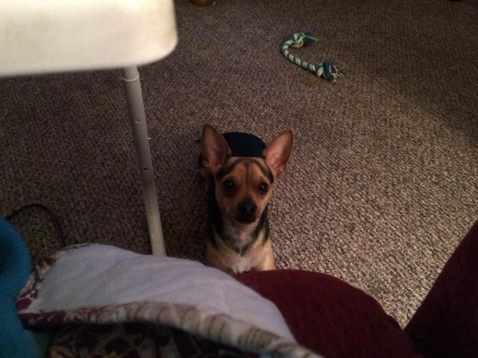 My little peanut....
