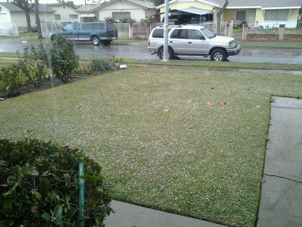 This weather is crazy