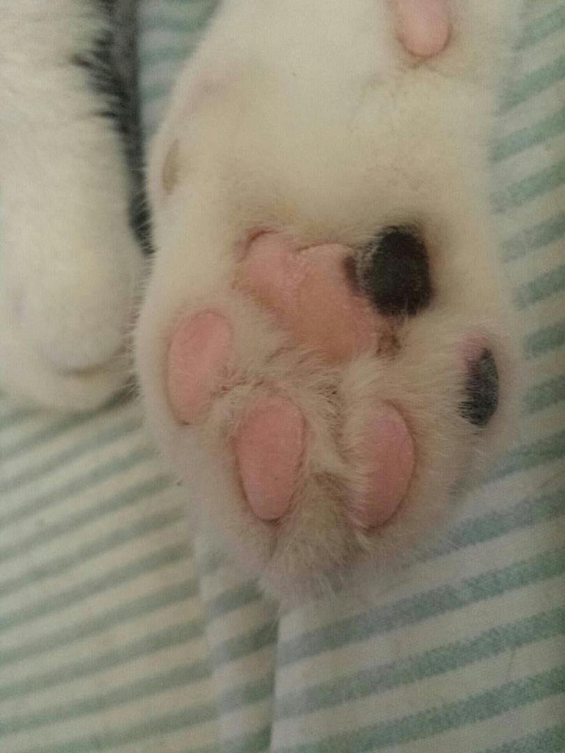 A Hidden Teddy Bear . . .