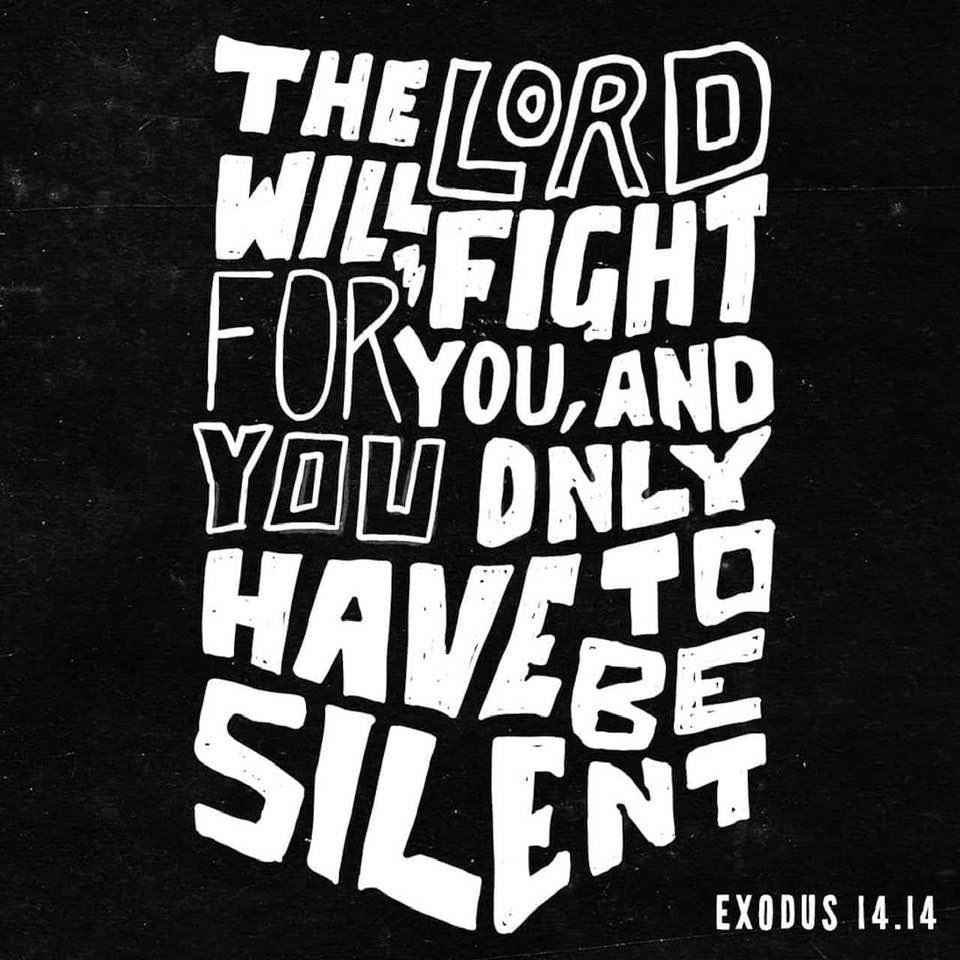 George Cofield's album, Timeline photos