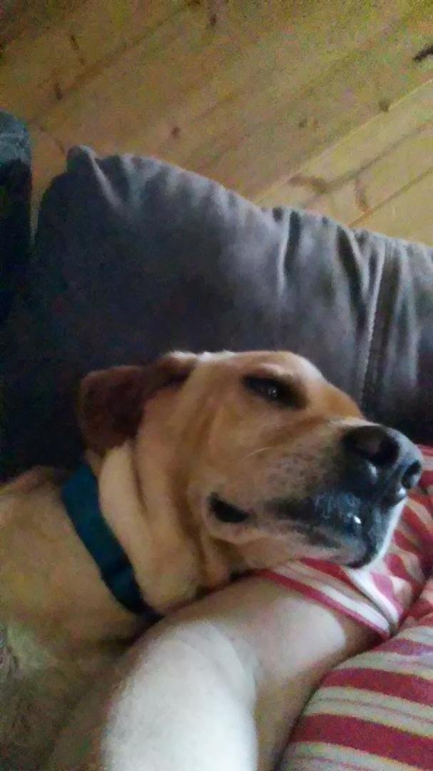 Nap time lol