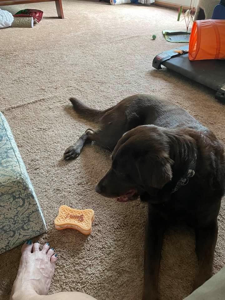 Sammy is a happy girl !