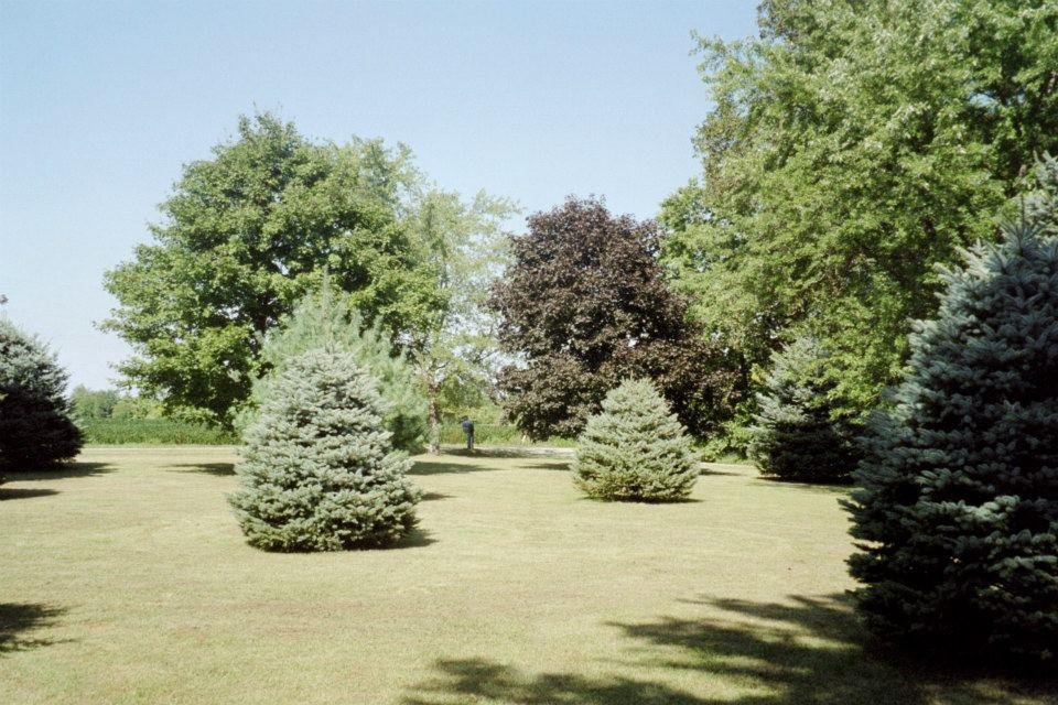 Tim Pertler's album, Middletown