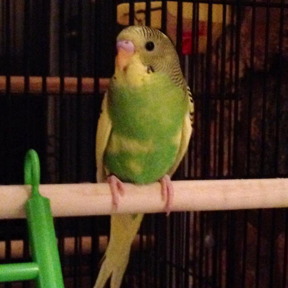 My new "buddy"! Thank you Jill!