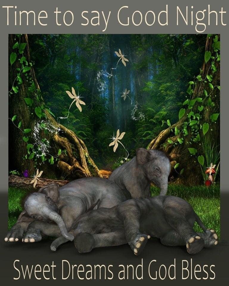 Good night