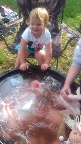 Connie Willenburg's album, Timeline Photos