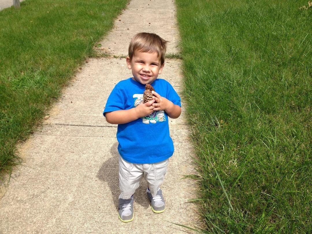 Kostas collecting pine cones on our walk.