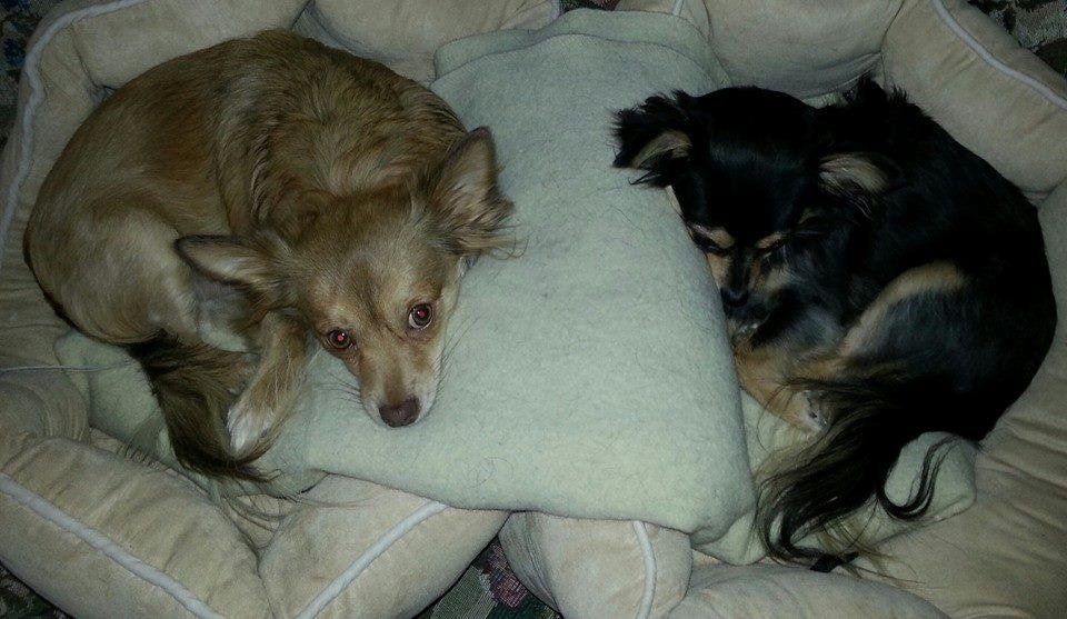 Happy birthday to my boys!