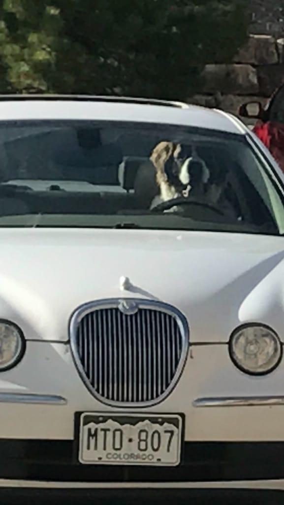 He drives also