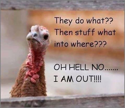 Susan Gammino's album, Timeline Photos