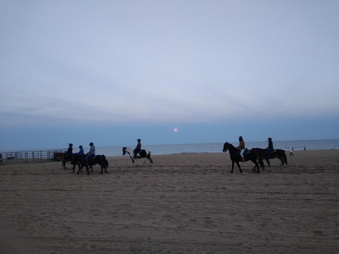Moonrise at the Va. Beach last night.
Taken by Nealson Foster