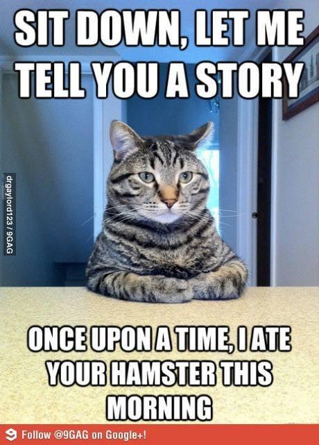 You've got to love the honesty and sincerity of cats!