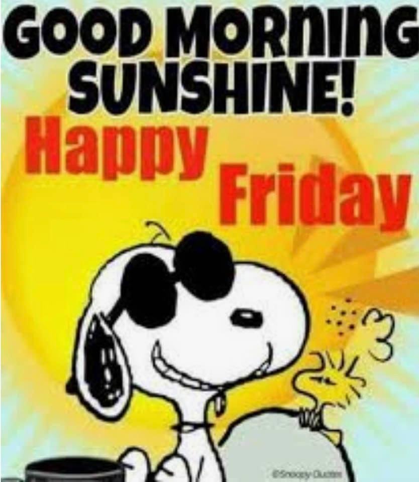 Jeanette Lacker's album, Timeline Photos