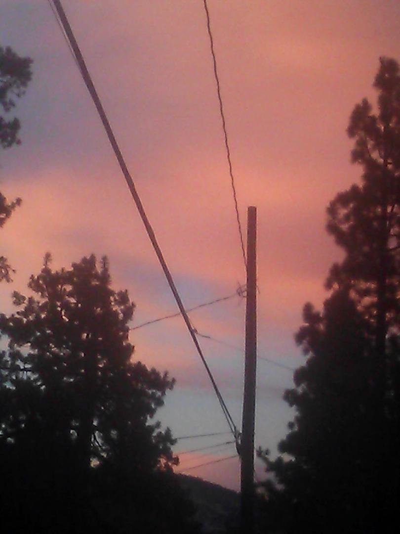 Pam Blake's album, Mobile Uploads