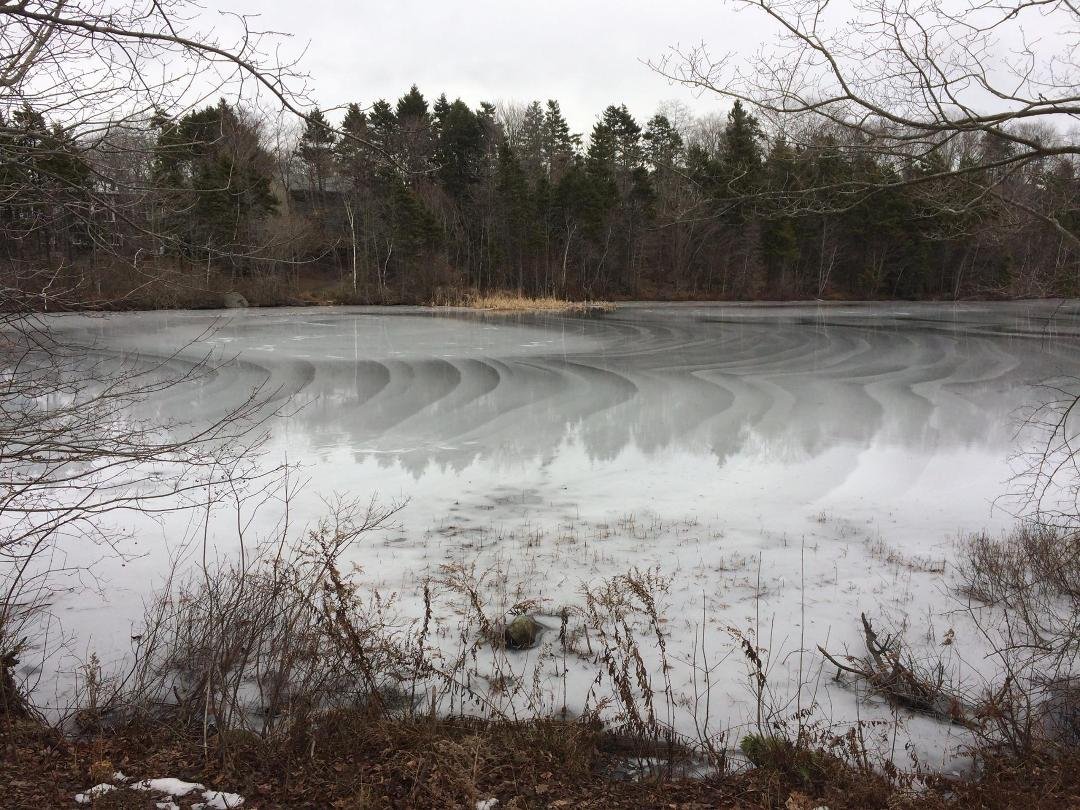 Nice freezing pattern to the ice, with water on the surface because it is Plus 7 today (probably the warmest place in Canada)! Expect the surface to be frozen by this time tomorrow.