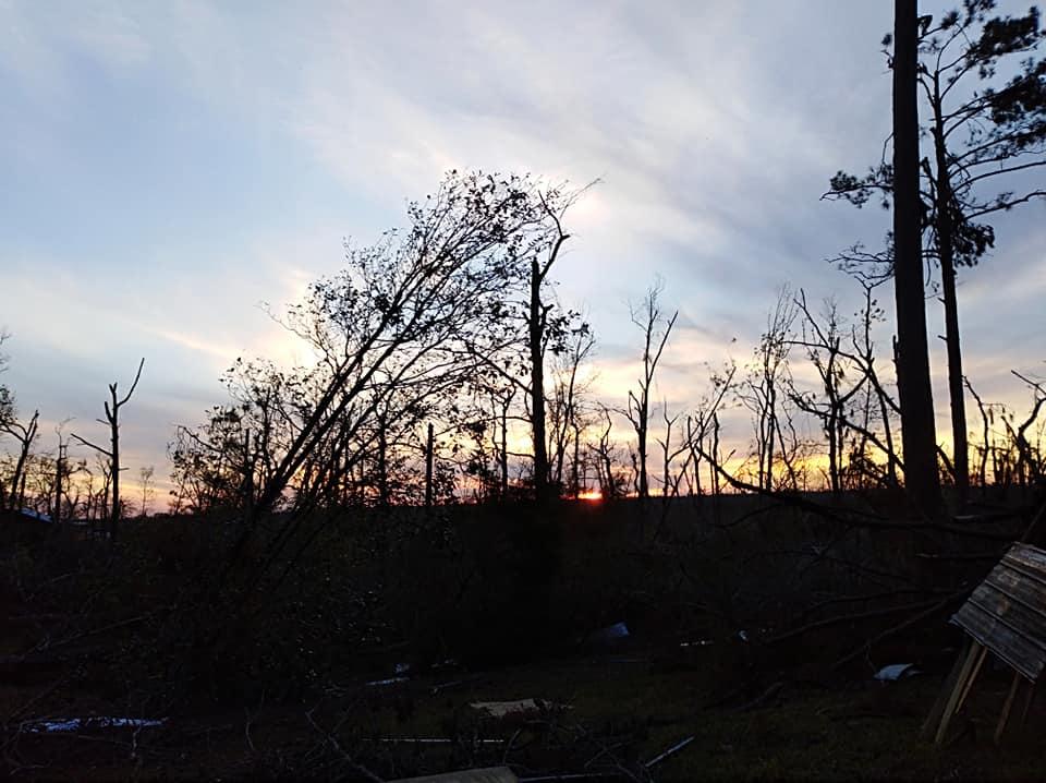 Sharon Plumlee's album, Mobile uploads