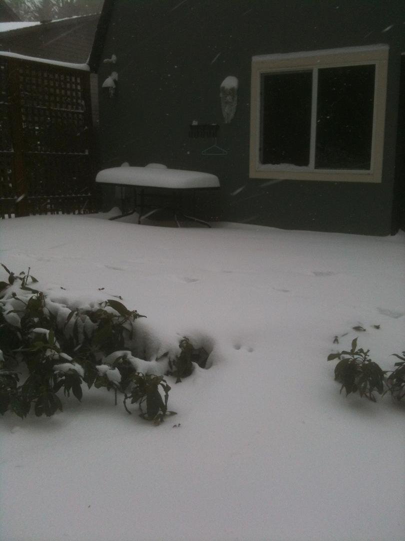 Mike Rabe's album, SNOW STORM 2014