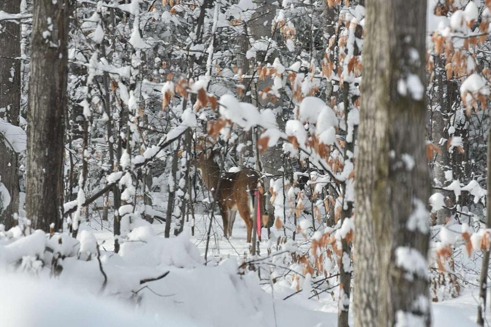 David Eisner's album, Mobile uploads