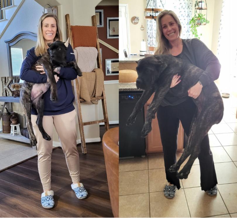 Meet King - 3 months vs. 5 months 🫠