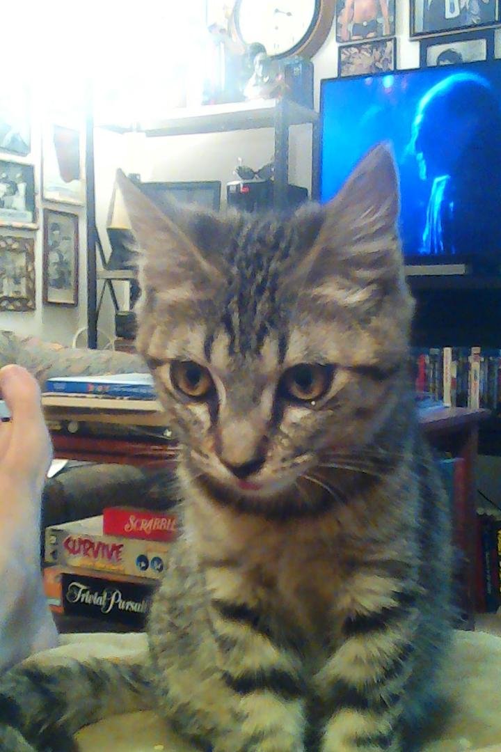 So, as we build towards the forthcoming final season of GAME OF THRONES, I've been listening to the commentary tracks on old episodes. Well, "The Red Wedding" really upset Buster. Here he turns away and weeps for the Starks