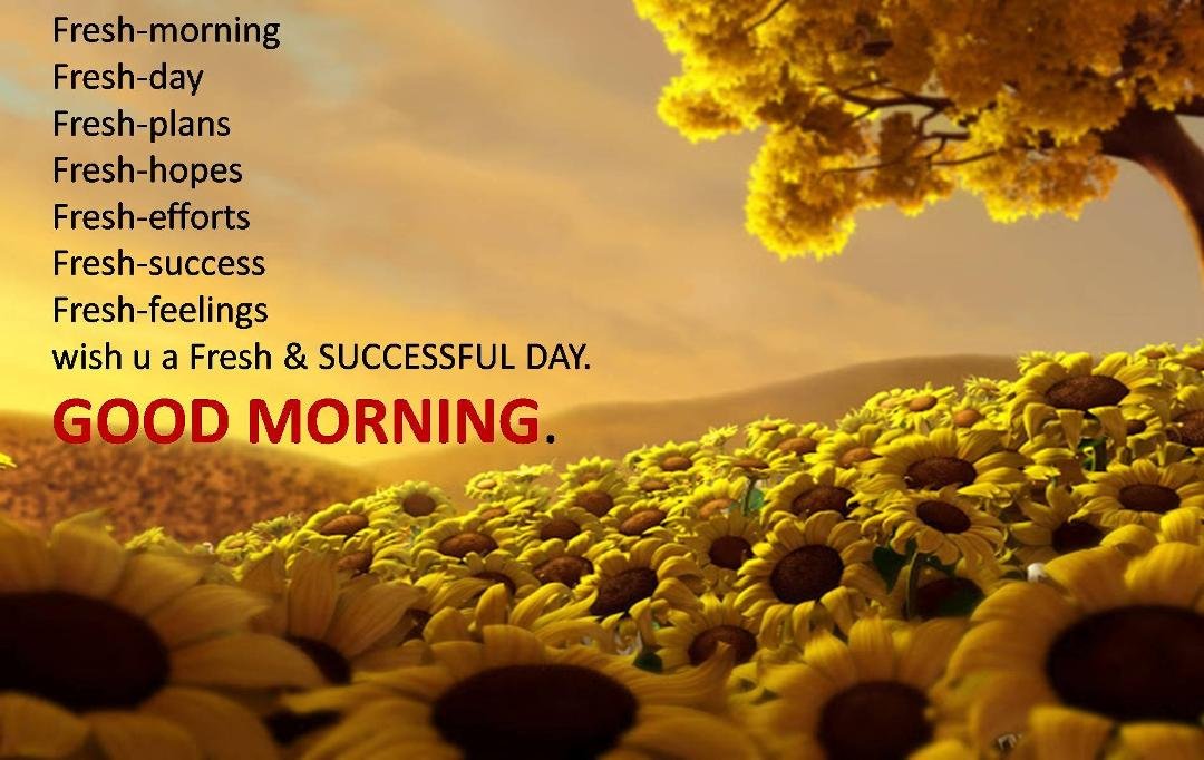Good Morning Good Morning!!!! This weekend is going to be fun!!! Celebrating !!! Have a great Day!!!!