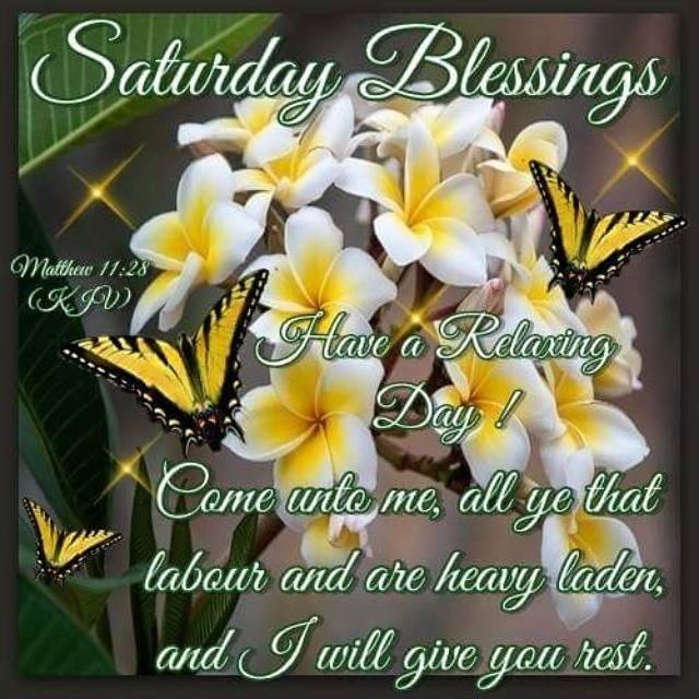 Sharon Johnson's album, Timeline Photos