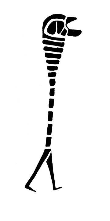 Long Neck