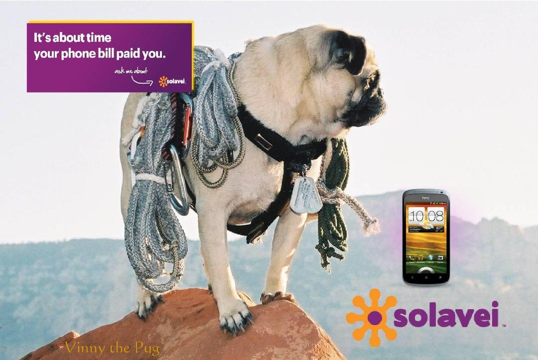 "Vinny the Pug" on SOLAVEI
Isn’t it about time Your cell phone Start paying You?
“Vinny the Pug” is harnessing the power of SOLEVEI to create Economic Linkage between Mobile Service, Social Commerce and Social Netw