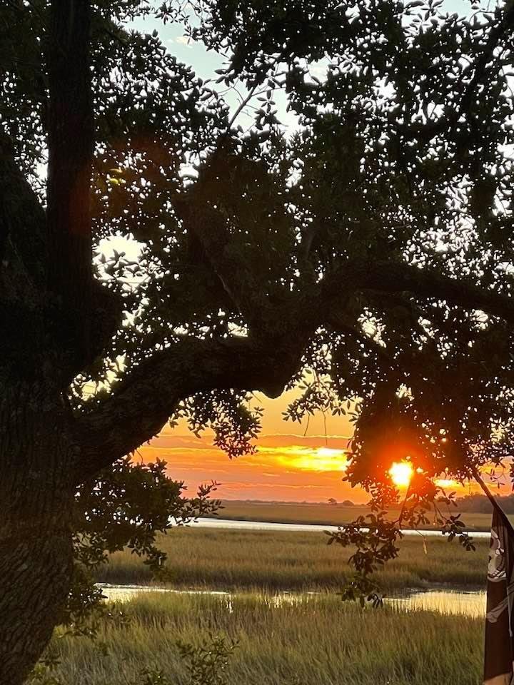 Sunrise Saturday through our Centuries Old Live Oak on SC’s Allston Creeks … Authentic American Eagles Believe in Truth•Courage•Resilience: whittemorehistorical.org Save our Conway School!