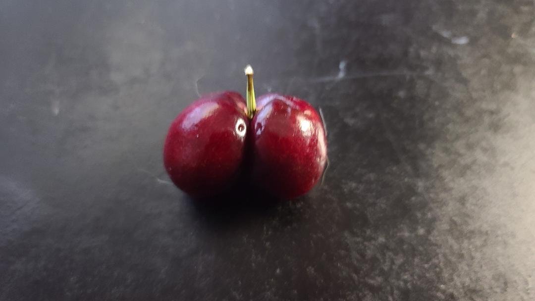 Twin cherries First I have seen, and I was a cheery picker when I was a youth.