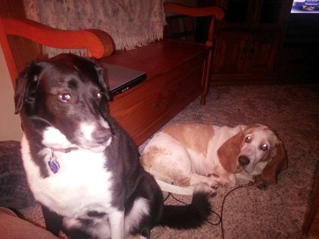 Two beauties <3