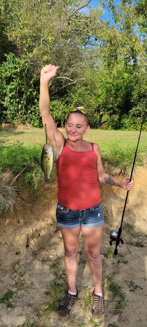 Candace Shaffer's album, Mobile uploads