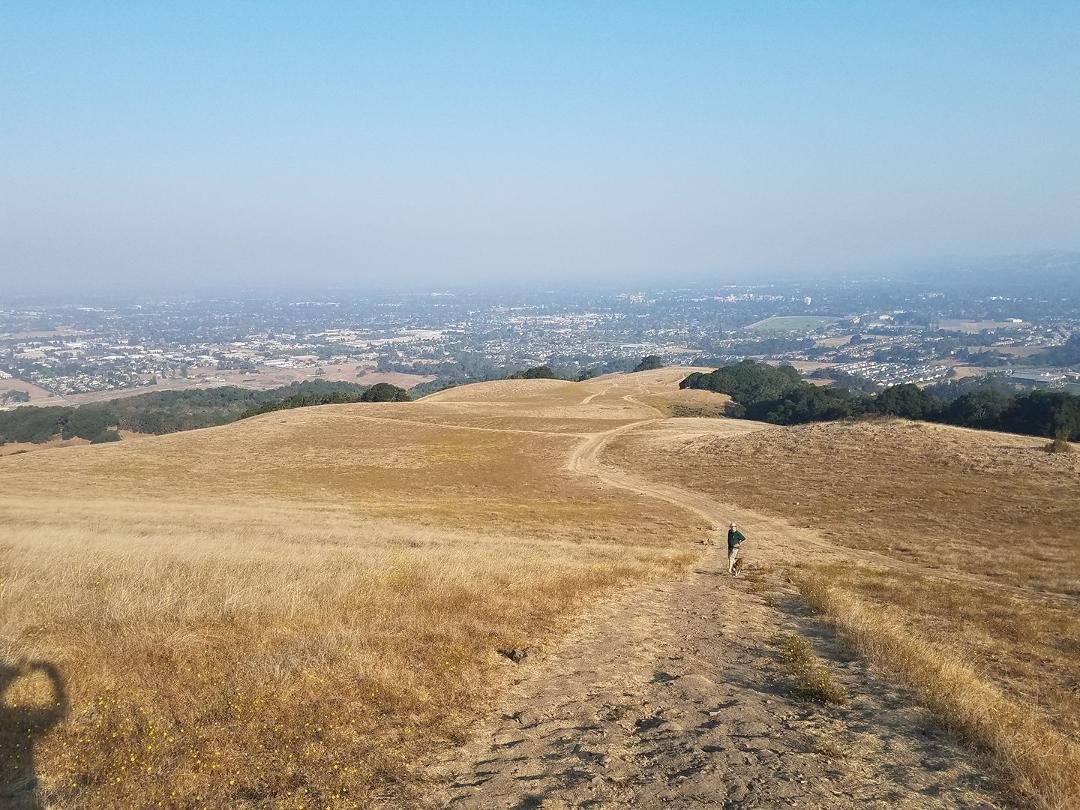View from Mt Taylor a bit Smokey this morning...but a nice walk with Patrick Grattan and his dog River. Hmm...anyone recall Cal Worthington? 😀