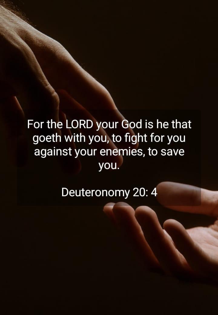 Donna Tumey's album, Timeline photos