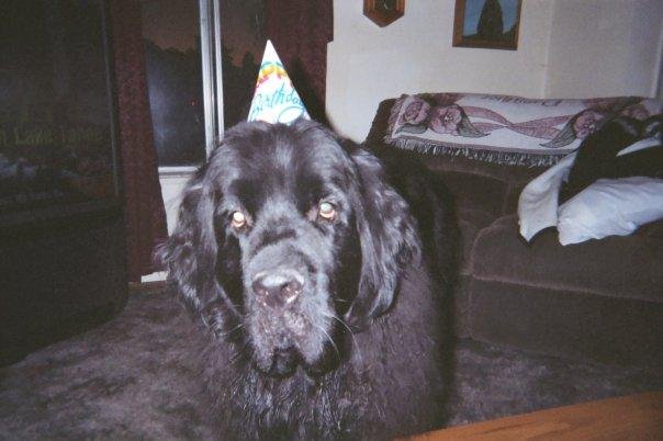 Birthday Boy