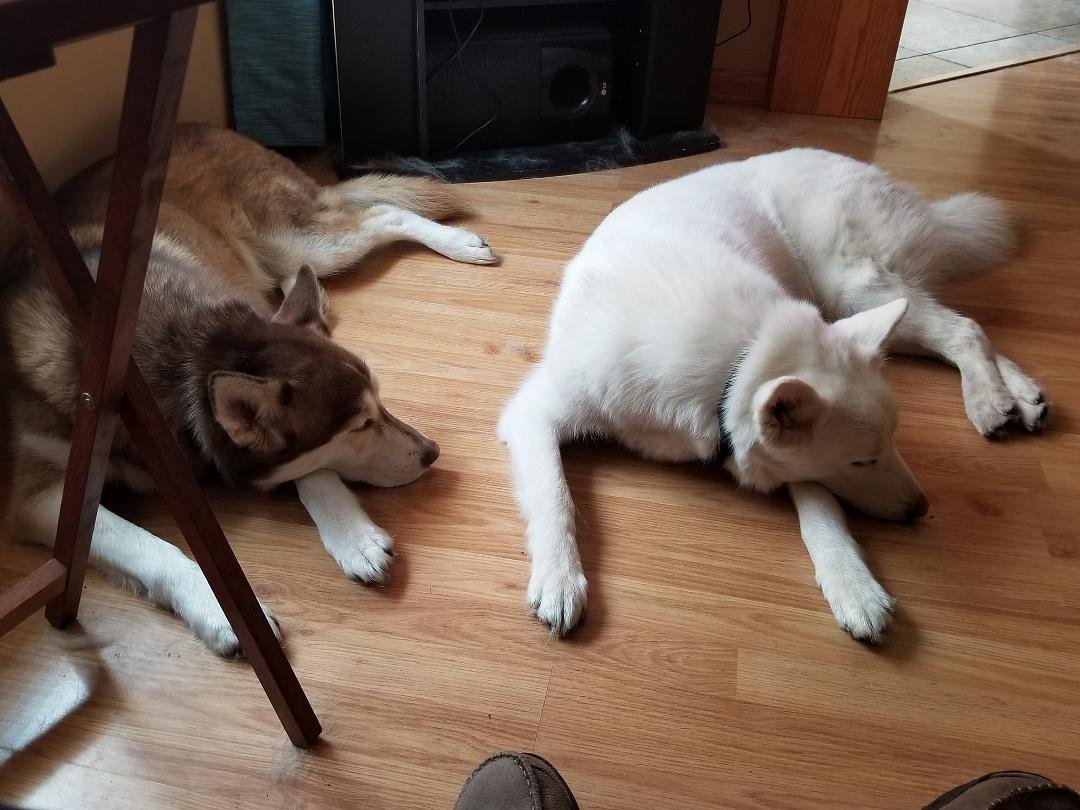 Sisters.... 🥰😍🤗💤💤