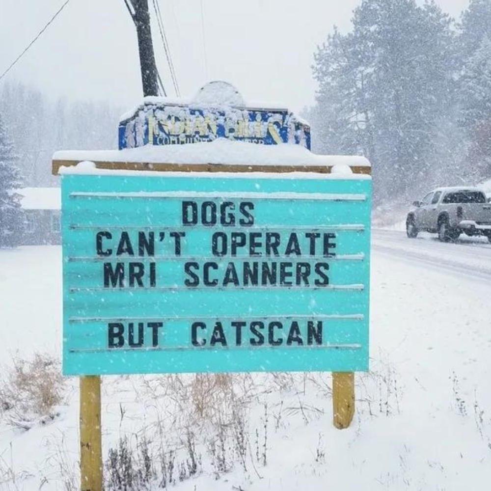 Cute. A bad dad joke?