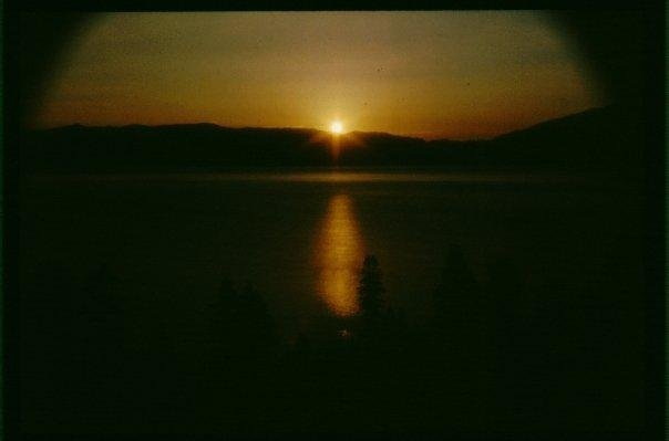 Robert Carbone's album, usa