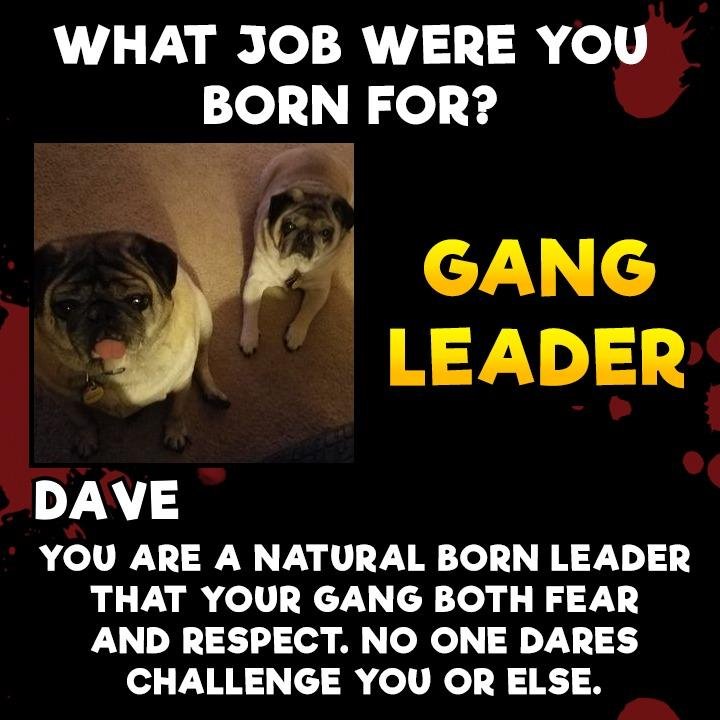David Chadwick's album, Timeline Photos