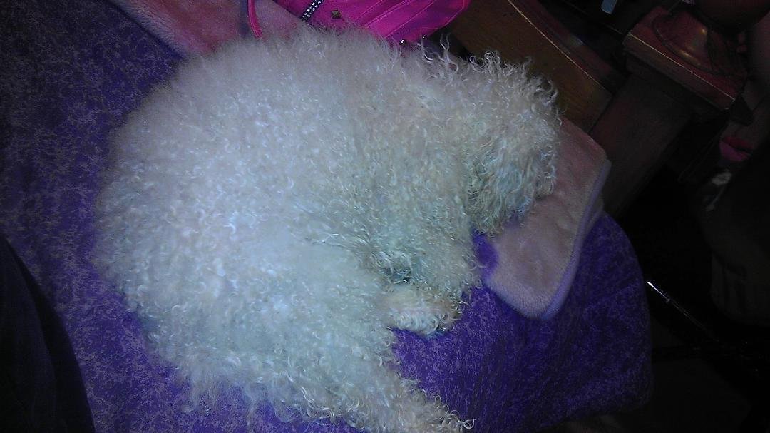 My handsome boy after his.bath.