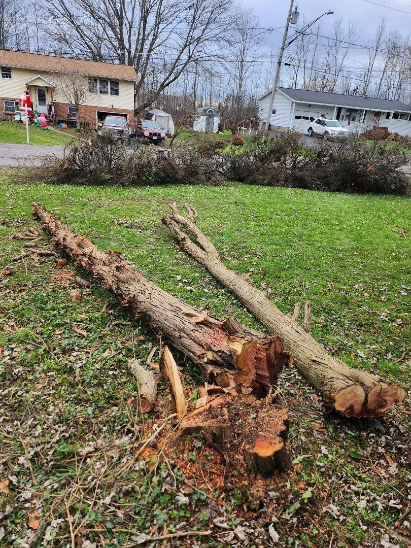 Big shout out to my 2 neighbors Jim Tyner for taking the branches off my tree and Jim Blackburn for helping stack them on the lawn for pick up ❤️