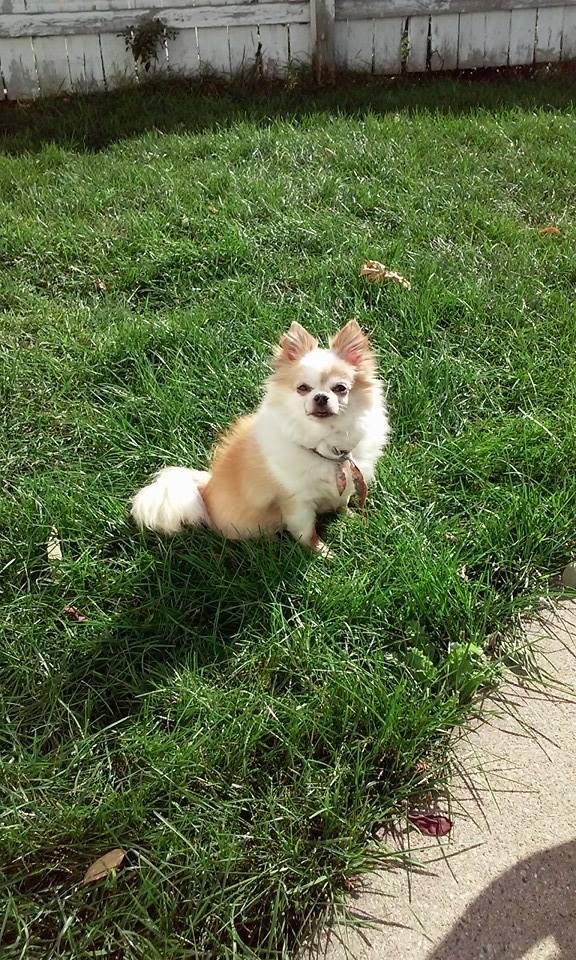 Happy Birthday Pooh Bear