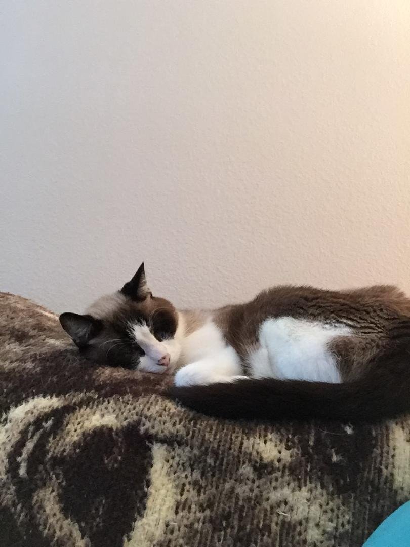 Rainy Days make him so sleepy!