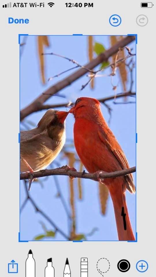 Happy Valentine’s Day!