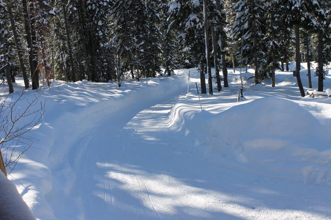 Road into MB's house. 1/1/2016